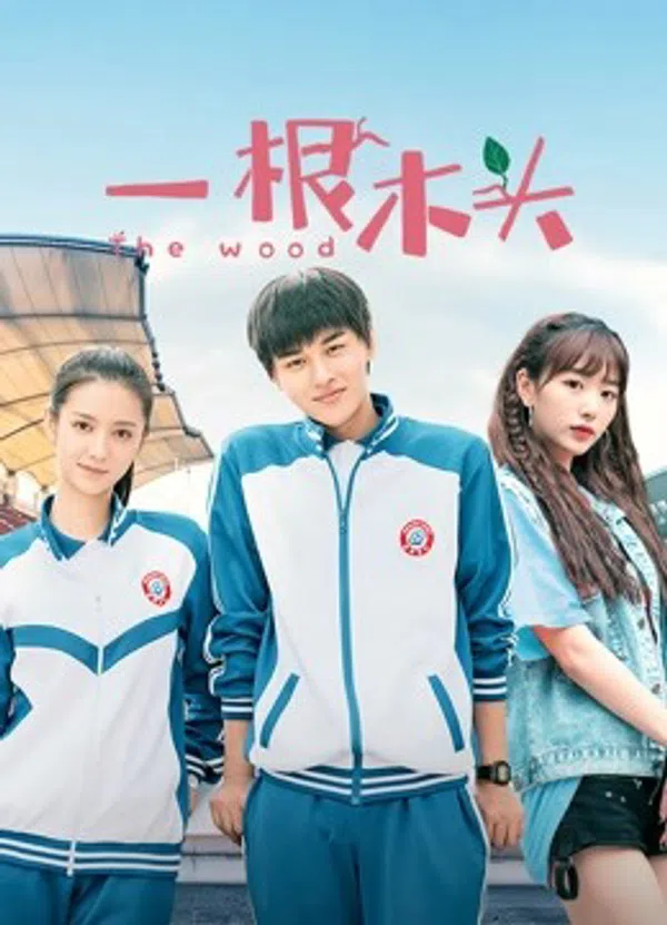Xem Phim Một Khúc Gỗ Mùa 1 Vietsub HD Online
